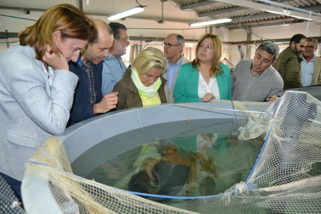 El sector acuícola regional analiza su potencialidad y perspectivas de futuro en San Pedro del Pinatar