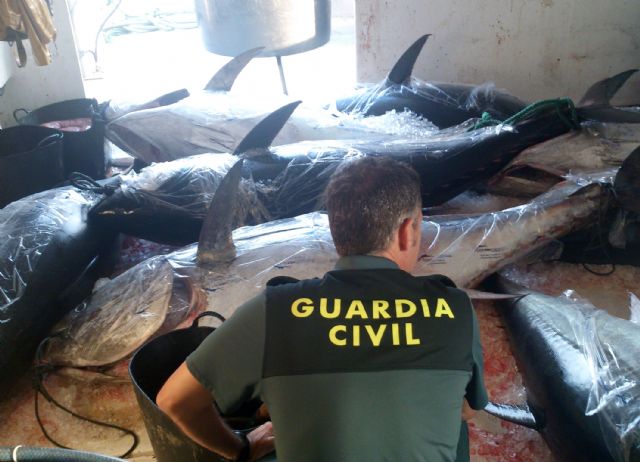 La Guardia Civil decomisa en aguas de San Pedro del Pinatar ocho atunes rojos capturados ilícitamente
