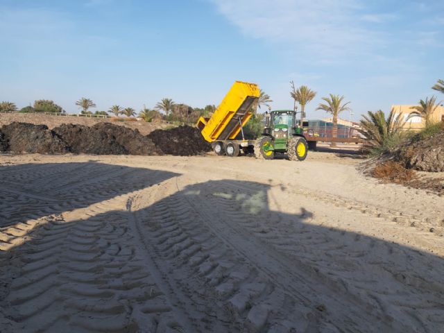 San Pedro del Pinatar inicia los trabajos de retirada de los arribazones de posidonia en El Mojón