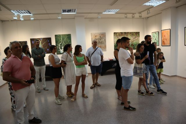 José Meseguer expone 'Imágenes desde la neurología' en el Espacio de Arte