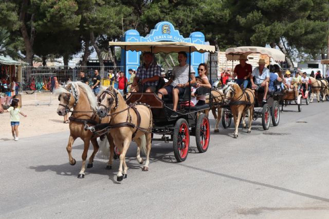 Carros, carruajes y jinetes recorrer las calles de San Pedro del Pinatar con motivo de las fiestas patronales