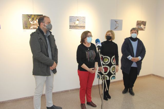 Ecocultural muestra la diversidad ornitológica del Mar Menor en una exposición fotográfica