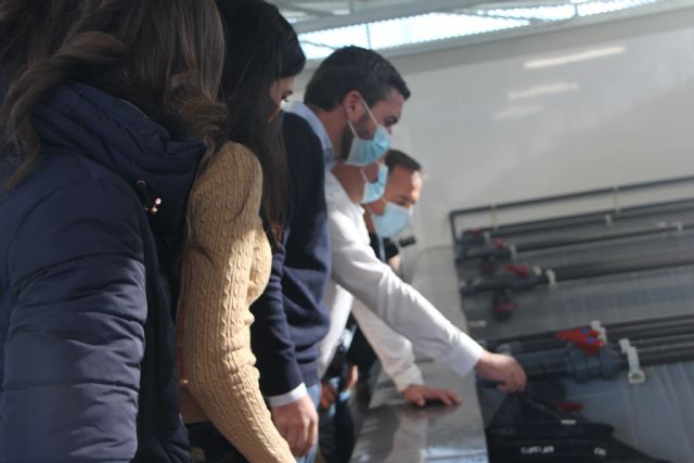 La Comunidad y la Cofradía de Pescadores de San Pedro del Pinatar apuestan conservar la anguila en el Mar Menor