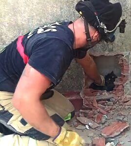 Bomberos rescatan a un gato que había quedado atrapado en la medianera de dos edificios