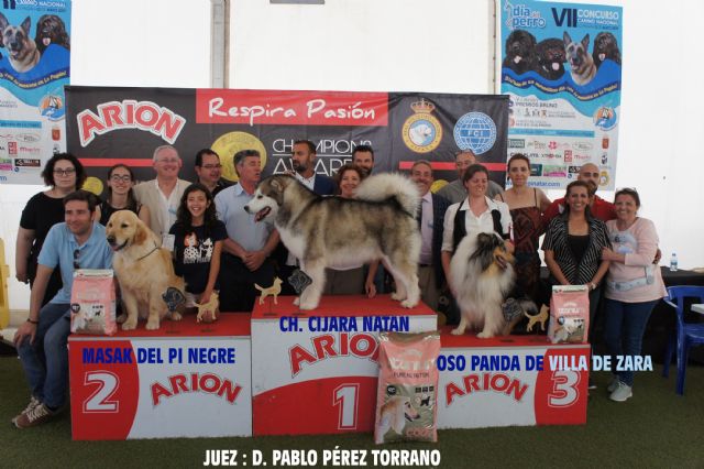 El Día de Perro reconoce la labor de Quinto, perro de rescate de la UME, y de la protectora de Los Belones