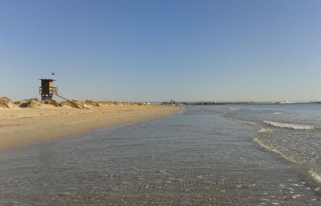 El programa europeo Life financia el proyecto de conservación de hábitats y aves en Las Salinas y arenales de San Pedro