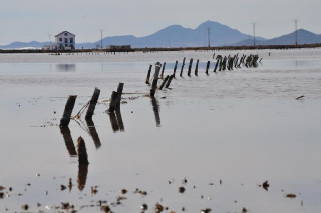 Medio Ambiente invita a participar en la yincana fotográfica por el sendero de Las Encañizadas en las Salinas de San Pedro del Pinatar