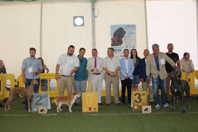 Cientos de personas disfrutaron de la celebración de El Día del Perro en San Pedro del Pinatar