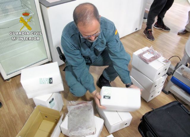 La Guardia Civil desmantela un  criadero  ilegal de tortugas con cerca de un centenar especies
