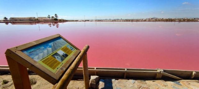San Pedro del Pinatar invita a descubrir su riqueza natural en Semana Santa