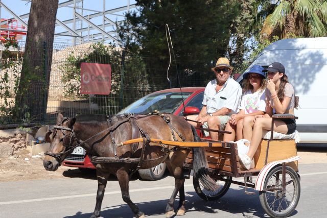 XXX Encuentro de Carruajes 'Villa de San Pedro', enmarcado en las Fiestas Patronales