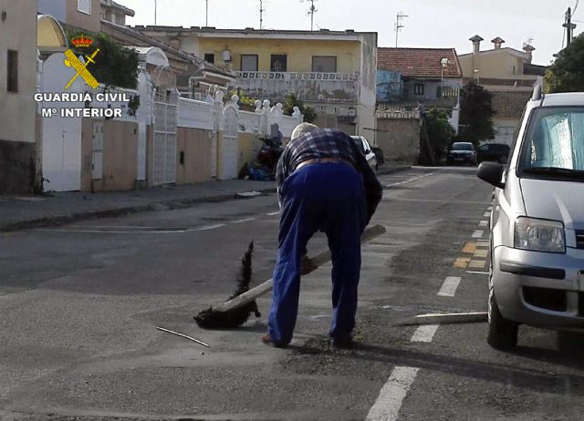 La Guardia Civil esclarece un delito de maltrato animal en el que un gato fue apaleado en plena calle