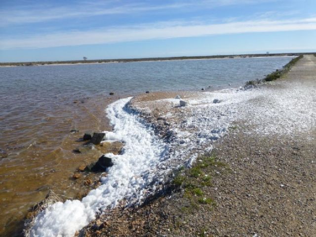 Medio Ambiente aclara que la espuma blanca de las charcas de las Salinas de San Pedro del Pinatar se debe a un proceso natural