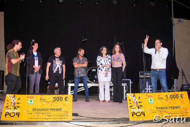 Celebrada la XXIX edición del festival Pedro Pop