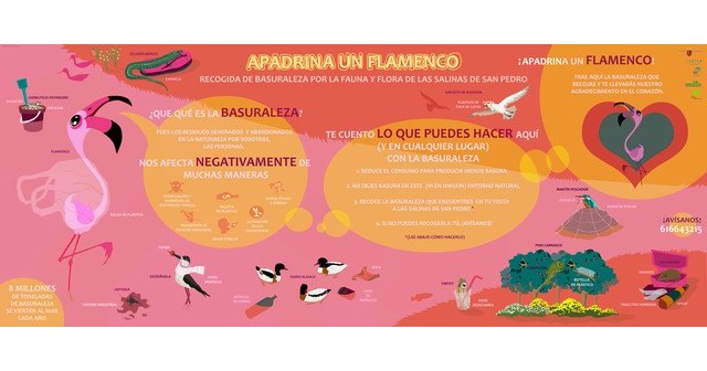 La Asociación Región de Murcia Limpia inicia proyecto “Apadrina un Flamenco” en el Parque Regional de las Salinas de San Pedro del Pinatar