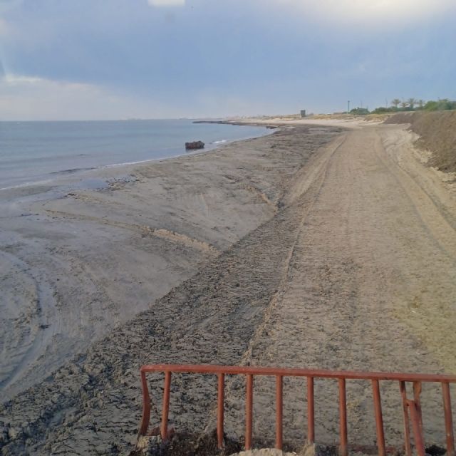 Retiran posidonia de las playas del Mediterráneo para mejorar el acceso al baño y reforzar los cordones dunares