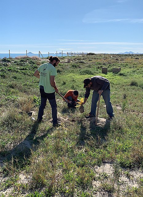 ANSE y Salinera Española restauran las dunas de La Llana en el marco del LIFE Salinas