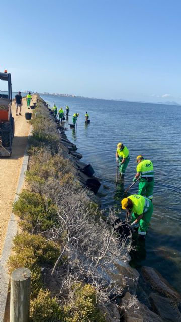 Ayuntamiento y Comunidad refuerzan la retirada de algas y la limpieza en las playas del municipio